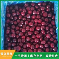 冷藏果蔬食品 波蘭冷凍酸櫻桃 去核凍速凍櫻桃 批發(fā)